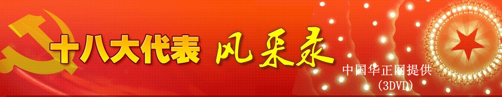 電視專題片《十八大代表風采錄》