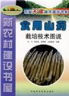 新農(nóng)村建設書屋：食用山藥栽培技術圖說