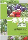 一地多種蔬菜高效種植模式