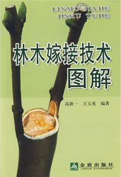 林木嫁接技術(shù)圖解