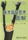 林木嫁接技術(shù)圖解