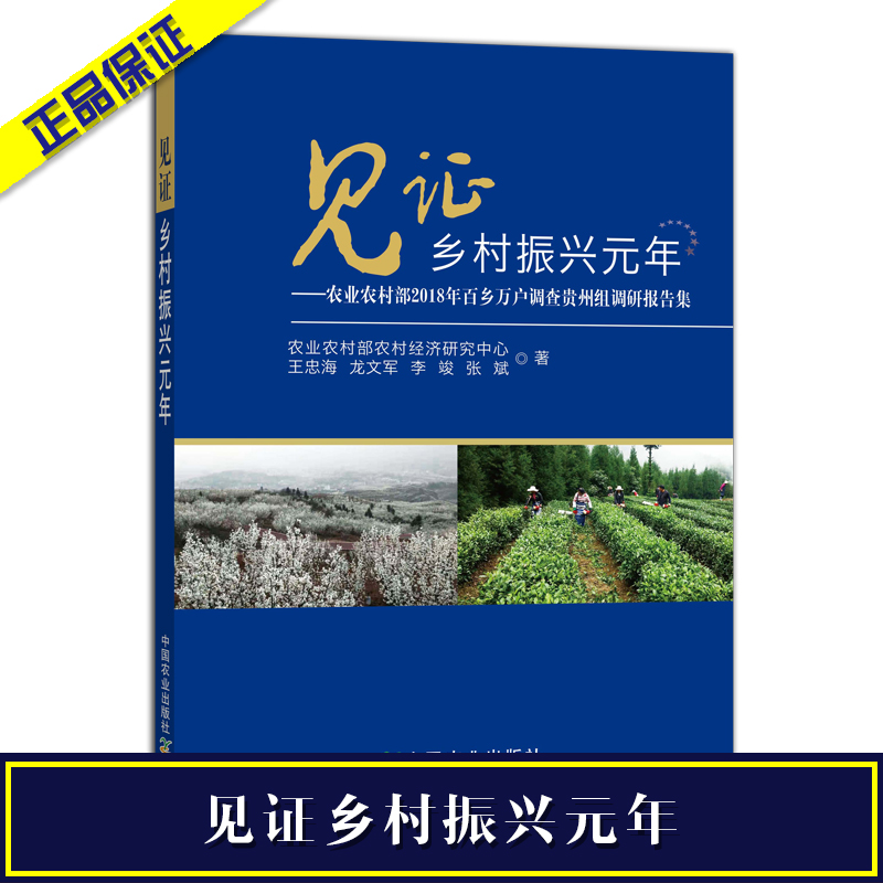 見證鄉(xiāng)村振興元年
