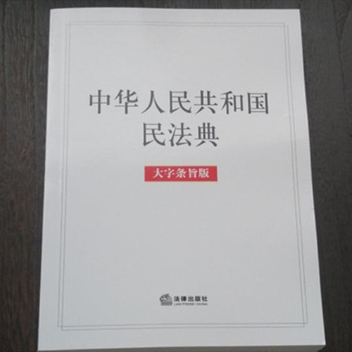 中華人民共和國民法典（大字條旨版）